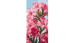 Картина по номерах  Pink flowers  13100-AC 40х80 см 3 пензл.+16 акрил.фарб  4 рівень склад.