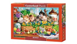 Пазл Касторленд 1000 (5069) Кошенята дрімають в кошику 35х25 см