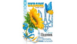 Щоденник шкільний 55г. Скоба. 143х197 мм  40 арк.диз.25081