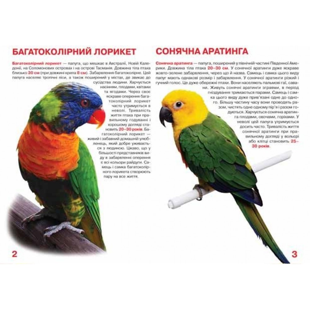 Енциклопедія.Велика книжка А3: Папуги (укр.мова) вид-во Кристалбук 16 сторінок 240*330мм