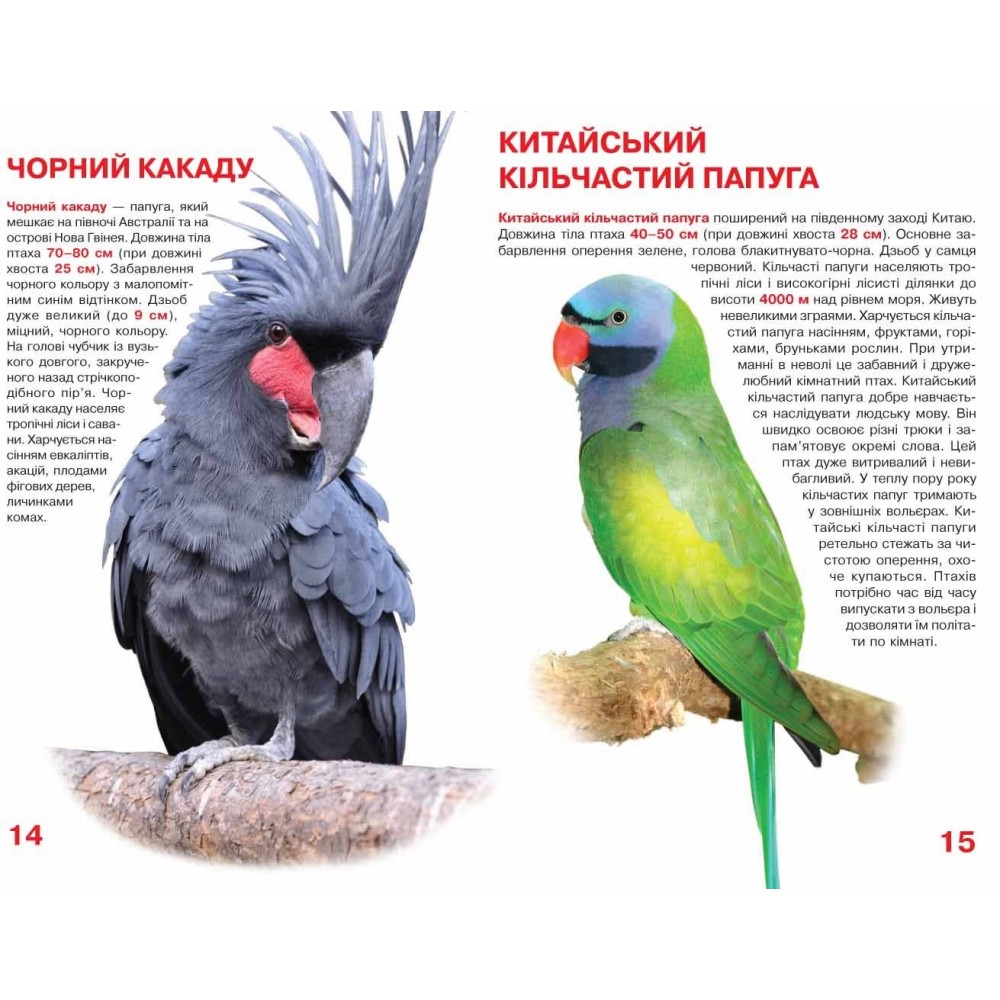 Енциклопедія.Велика книжка А3: Папуги (укр.мова) вид-во Кристалбук 16 сторінок 240*330мм