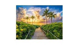 Пазл Касторленд 3000 (617) Кольоровий схід сонця в Маямі  92*68 см