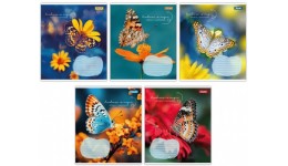 Зошит 36 лінія арт767340 Butterfly 1В (15 штук в упаковці)