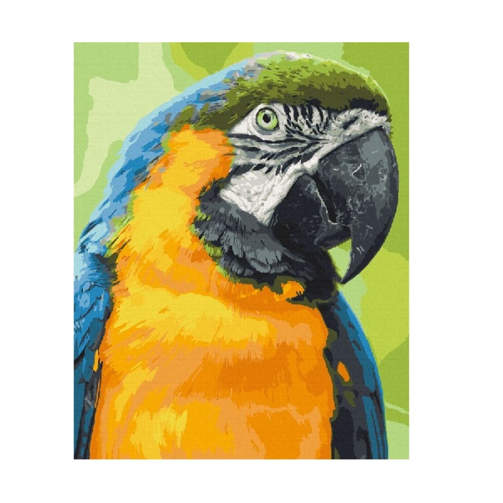 Картина по номерах  Папуга Ара  11643-AC  40*50 см  2 пензл.+24 акрил.фарб  4 рівень складн