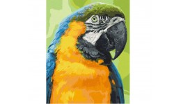 Картина по номерах  Папуга Ара  11643-AC  40*50 см  2 пензл.+24 акрил.фарб  4 рівень складн