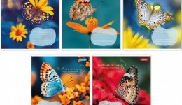 Зошит 48 клітинка арт767357 Butterfly 1В (10 штук в упаковці)