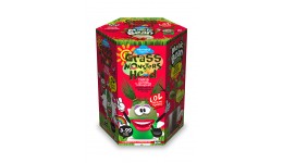 Набір для пророщування рослини Grass Monsters Head 06(поливай і спостерігай)+Чарівний Біб ДТ