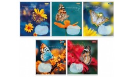 Зошит 48 лінія арт767376 Butterfly 1В (10 штук в упаковці)