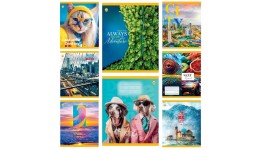 Зошит 96 клітинка  Тверда 41709 Мікс 4 ТЕТРАДА  (10 штук в упаковці)і)