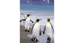 Картина за номерами Пінгвіни Strateg розміром 40х50 см GS696 3рів.скл.  24 кол
