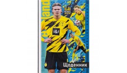 Щоденник шкільний 087/21  70г  7БЦ  165х240 мм  40 арк.Матова ламінація Тверда палітурка УФ-ЛАК