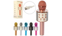 Мікрофон WS858 акум.  Bluetooth  TF слот  USB  кор.  9 5-25-8 5 см.
