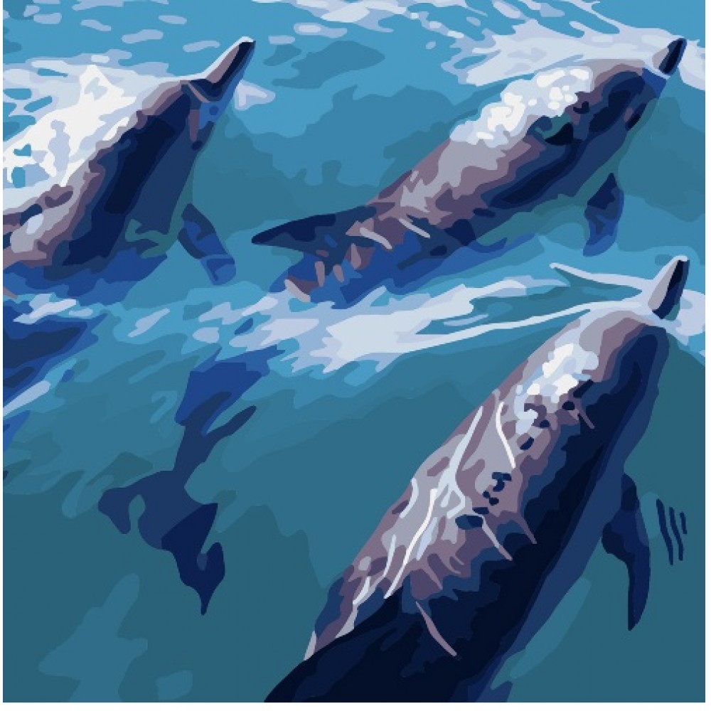 Картина за номерами  Швидкі дельфіни Strateg розміром 40х40 см SK034 3рів.скл.  19кол.