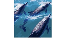 Картина за номерами  Швидкі дельфіни Strateg розміром 40х40 см SK034 3рів.скл.  19кол.