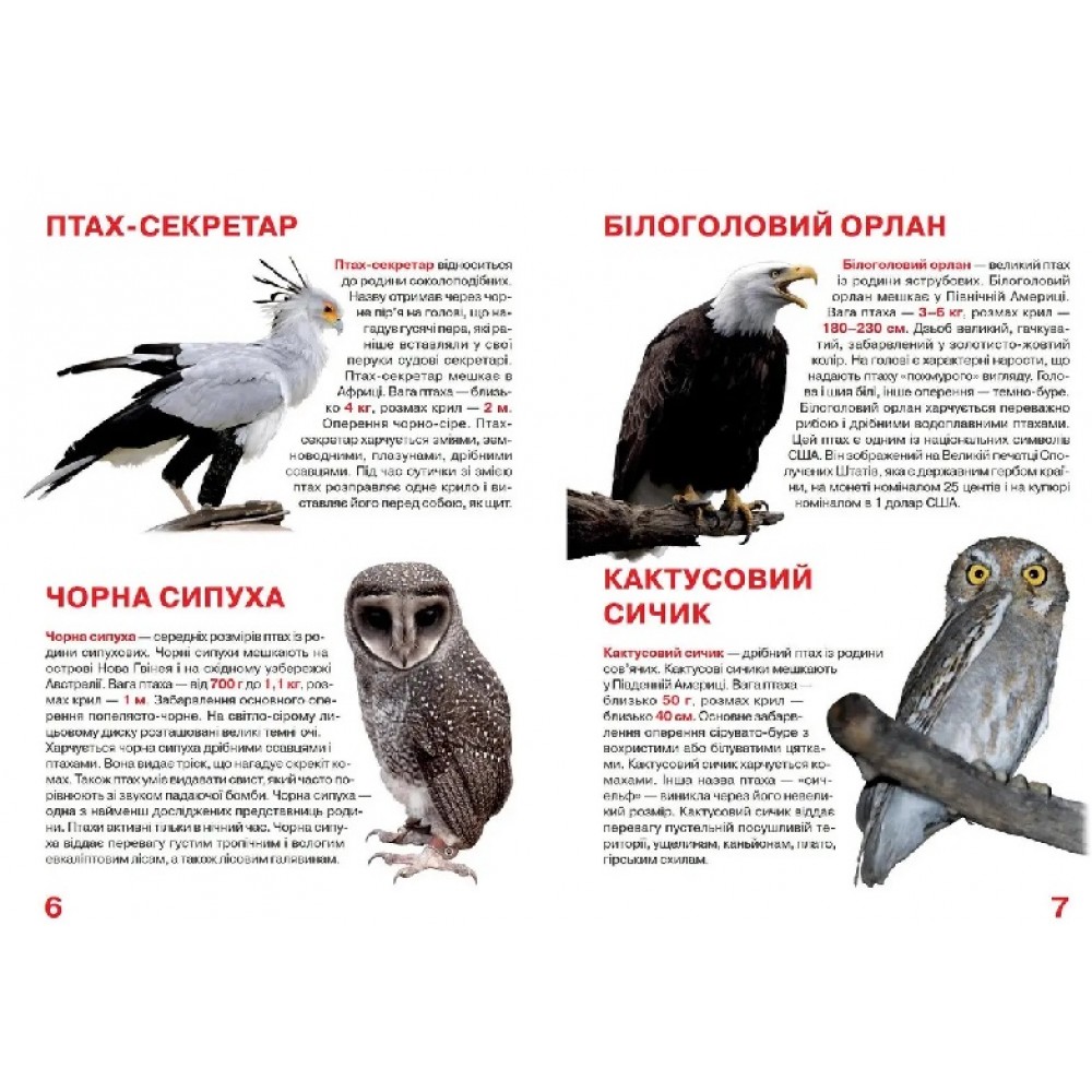 Енциклопедія.Велика книжка А3: Хижі птахи  (укр.мова) вид-во Кристалбук 16 сторінок 240*330мм