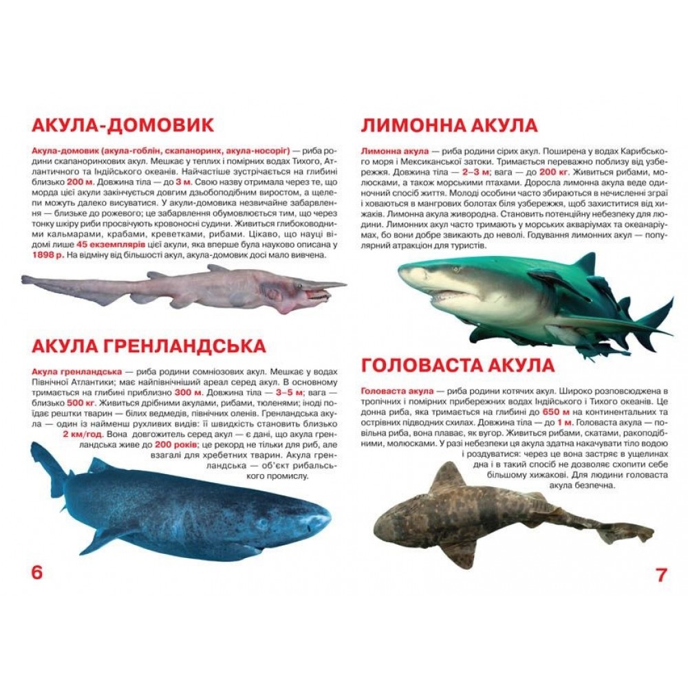 Енциклопедія.Велика книжка А3: Акули м`яка палітурка 16 стор.240х230 мм(у) КБ