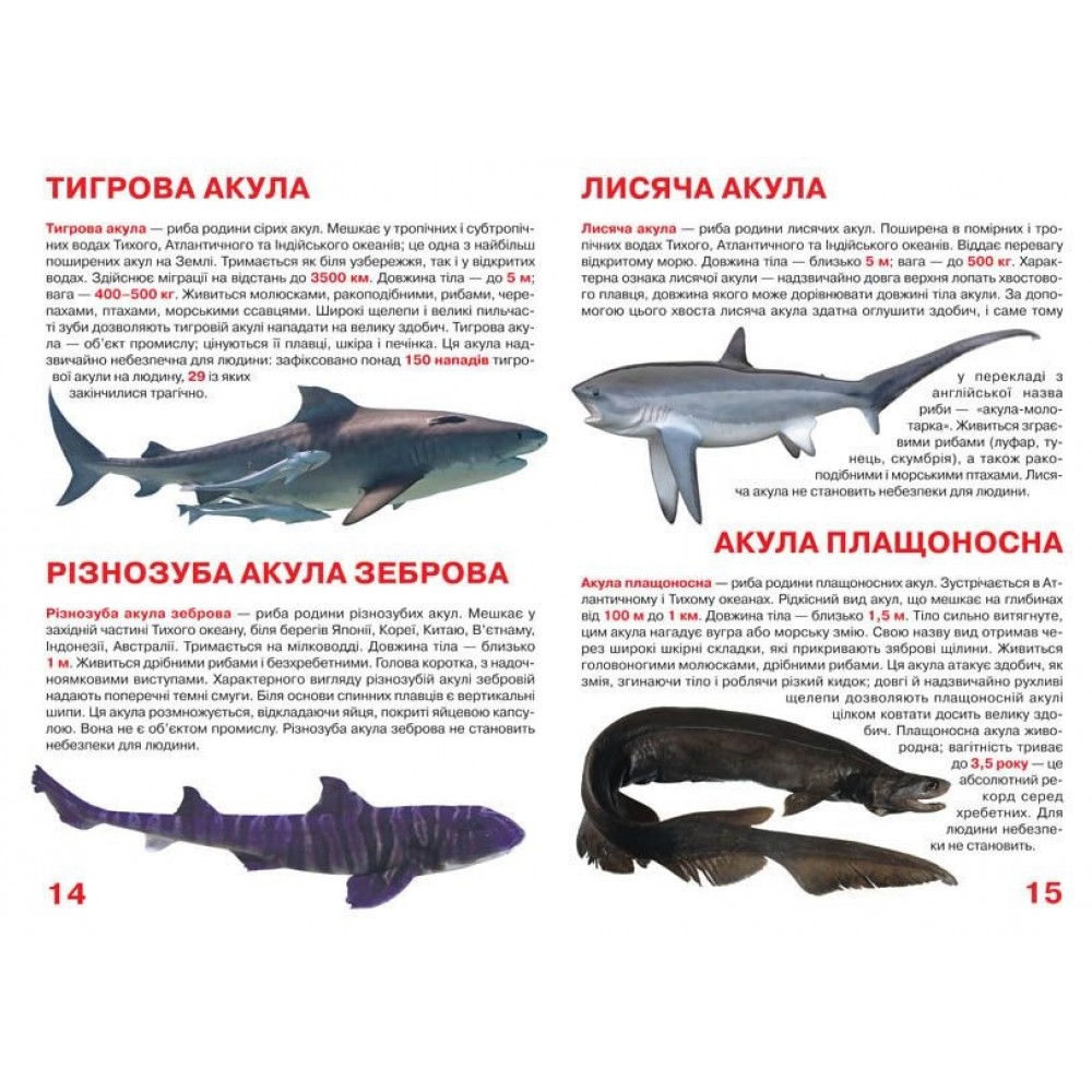 Енциклопедія.Велика книжка А3: Акули м`яка палітурка 16 стор.240х230 мм(у) КБ