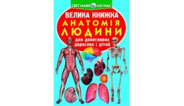 Енциклопедія.Велика книжка А3: Анатомія людини (у) Кристалбук 240*330мм 16стор