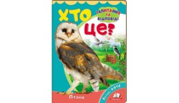 Книжка-картонка: Хто це? Птахи + великі фото (запитання та відповіді) (у) П