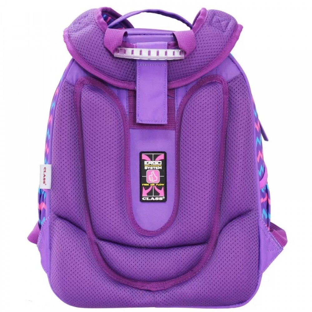 Рюкзак  шкільний SchoolCase Mini  Lucky   2 відділення.  35*27*16см  PL  2201C  CLASS