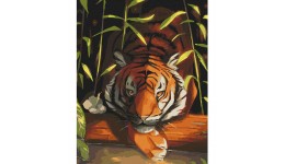 Картина по номерах  Бенгальський тигр  11618-AC 40*50 см  2 пензл.+23 акрил.фарб  4 рівень скла