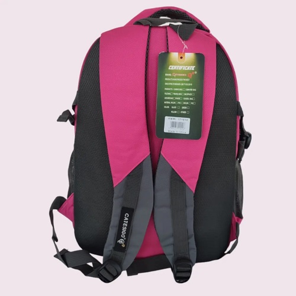 Рюкзак шкільний молодіжний Рожевий Catesigo 3 відділи  2 кишені розмір 45х32х22 см