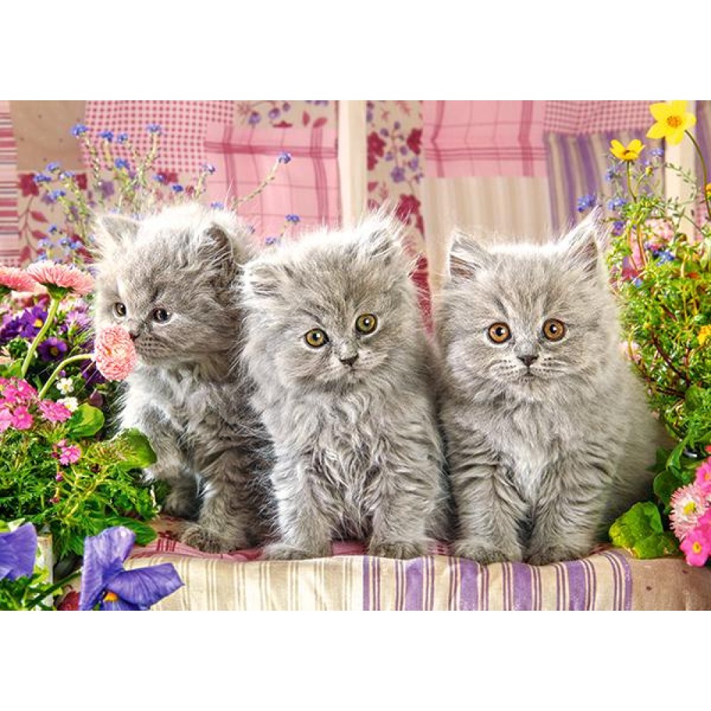 Пазл Касторленд  260 (27491) Три сіреньких кошенятка  32*23 см