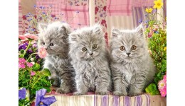 Пазл Касторленд  260 (27491) Три сіреньких кошенятка  32*23 см