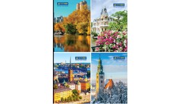 Канцелярська книга А4 BUROMAX 2408 (тв.лам.обл.) 96арк. клітинка (1/8)