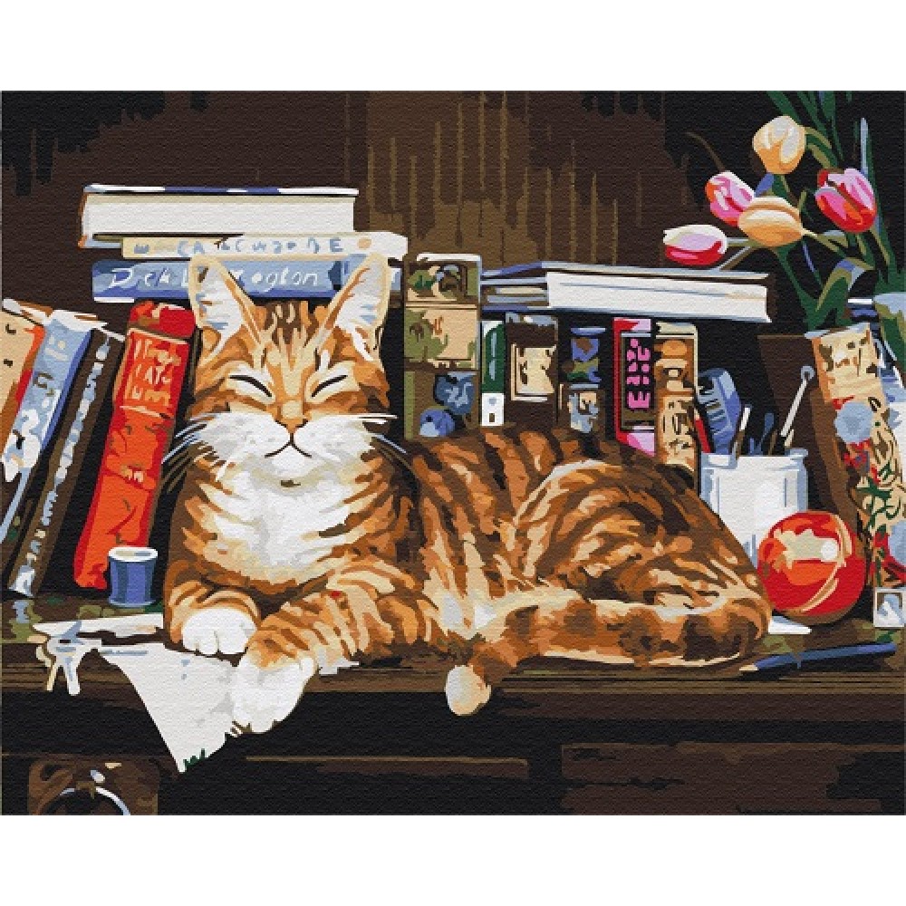 Картина по номерах на полотні 40*50 см Кіт на книжковій полиці з акрил.фарбами 4 рів.склад.