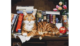 Картина по номерах на полотні 40*50 см Кіт на книжковій полиці з акрил.фарбами 4 рів.склад.