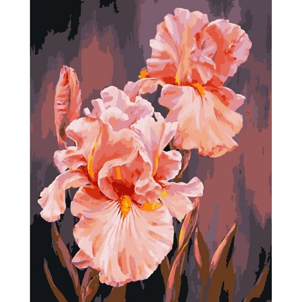 Картина по номерах Рожеві іриси 40*50 см 13140-AC 2 пензлики 21 акр.фарб  4 рів.склад.