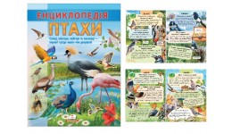 Цікава енциклопедія у подарунок розумійкам: Енциклопедія Птахи 32 стор. 200х225 мм Пегас