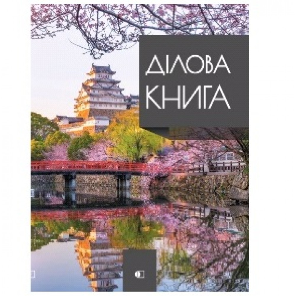 Ділова книга А4  192 арк Business book-3  обкладинка-тверда  клітинка Пагода ТМ АртПринт (1)