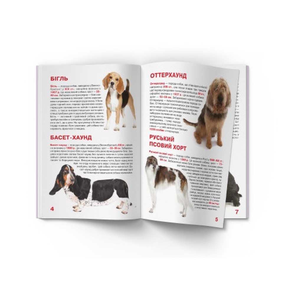 Енциклопедія.Велика книжка А3: Мисливські собаки (укр.мова) Кристалбук  16 сторінок  240*330 мм