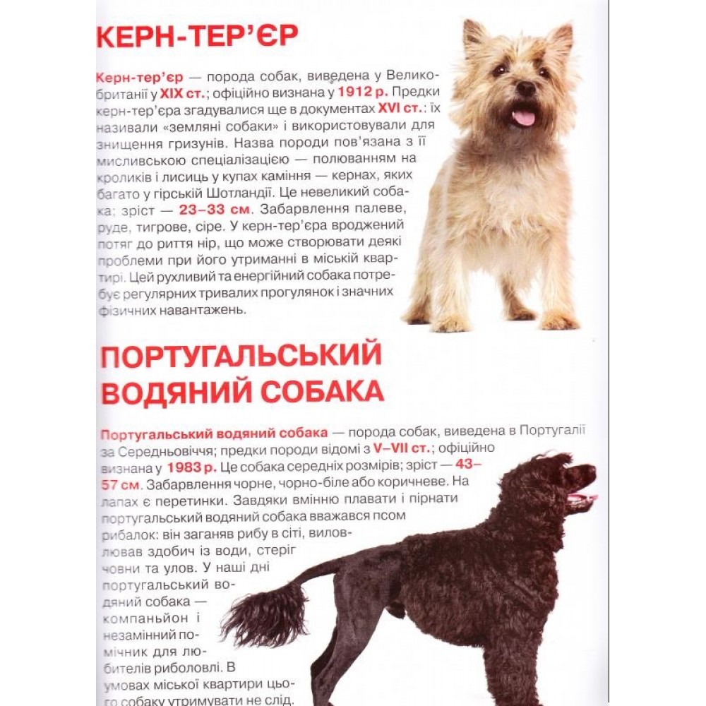 Енциклопедія.Велика книжка А3: Мисливські собаки (укр.мова) Кристалбук  16 сторінок  240*330 мм