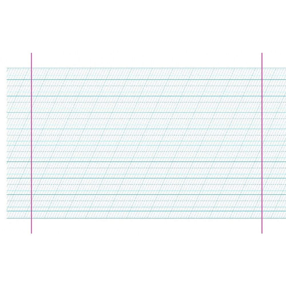 Каліграфічний зошит-шаблон: Збільшений розмір графічної сітки (Синя обкладинка) В.Федієнко (у)Ш