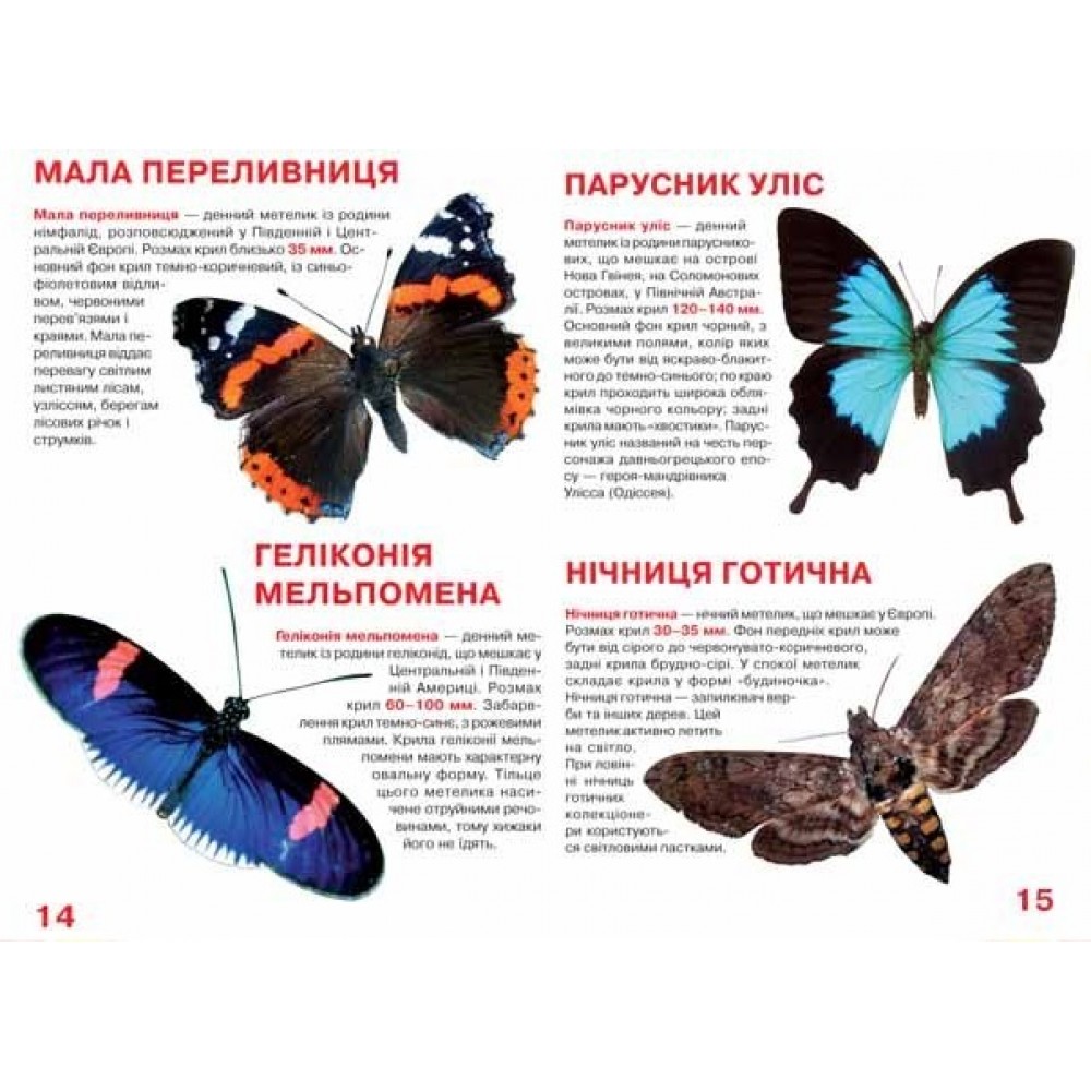 Енциклопедія.Велика книжка А3: Метелики  (укр.мова) вид-во Кристалбук 16 сторінок 240*330мм