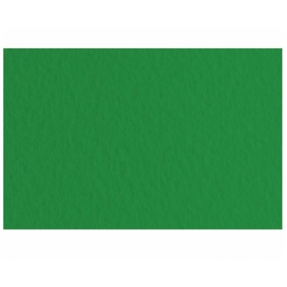Папір для пастелі TIZIANO Fabriano А4 (21*29 7см) №37 зелений  середнє зерно  160г/м2 (10)